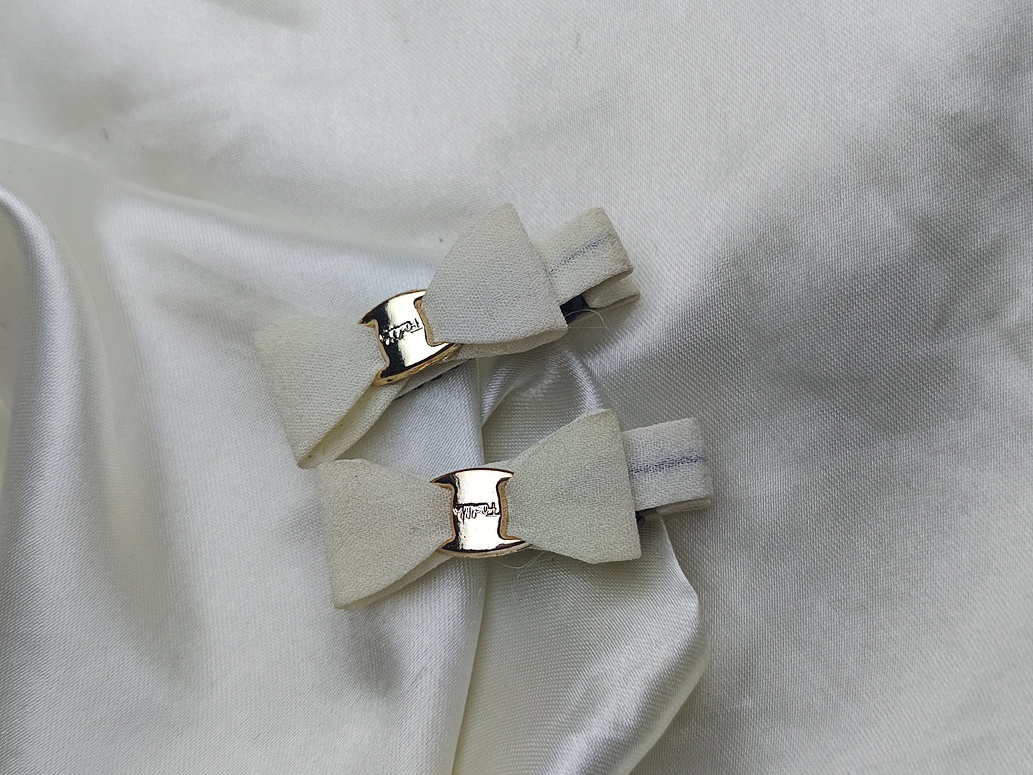 Pair of Clips