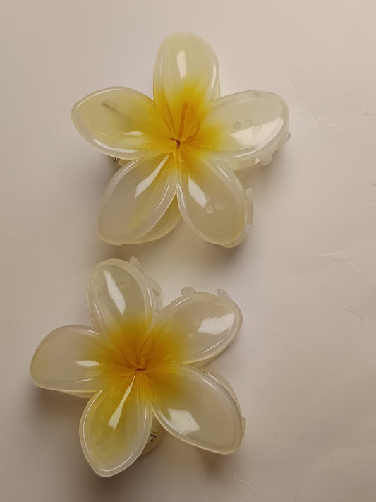 Set of 2 Lily Hair Claw -Large